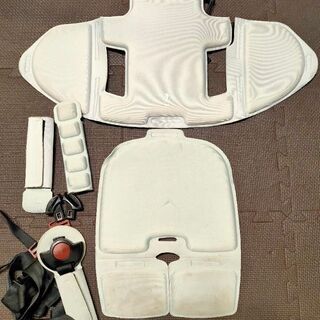 bikke POLAR e ビッケ　子供乗せ　電動自転車