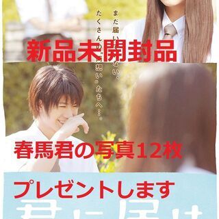 君に届けスタンダード・エディション [DVD]三浦春馬・多部未華...