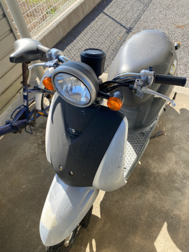 原付　ホンダ　トゥデイ