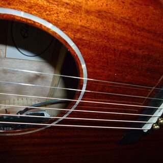 取引完了☆Elvis Elite エレアコ トップ 単板 (美品) 早いもの勝ち！