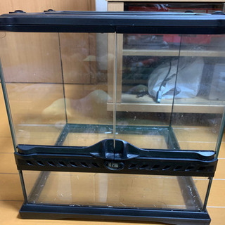 爬虫類用ケージ グラテラ3030 はらへりちゃん 保谷のその他の中古あげます 譲ります ジモティーで不用品の処分