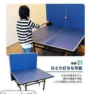 卓球台【国際規格サイズ】