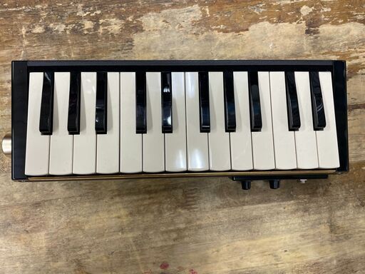 HAMMOND エレア鍵盤ハーモニカ PRO-24B ケース付き www.pa-bekasi.go.id
