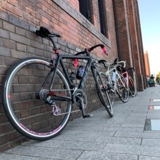 FELT95 カスタム多数 FELT95 カスタム多数