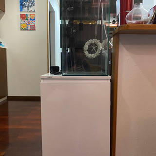 縦長水槽、水槽台、ポンプシステム一式