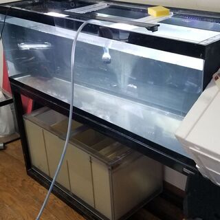 宮城仙台！1500×500×500アクリルOF水槽セット！中古