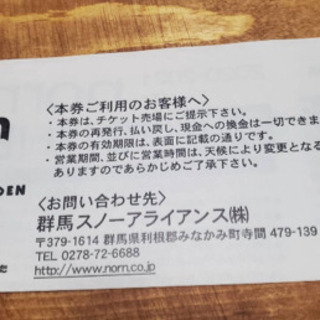 ノルン水上スキー場 リフト券 9枚