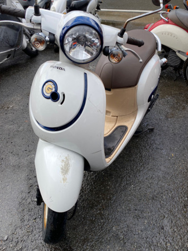 HONDA ジョルノ　AF77 セル始動　実動　福岡市南口