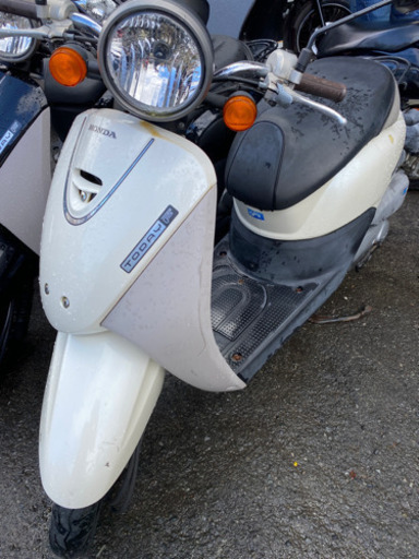HONDA トゥデイ　4サイクル　白色　AF67 実動確認OK 福岡市南区