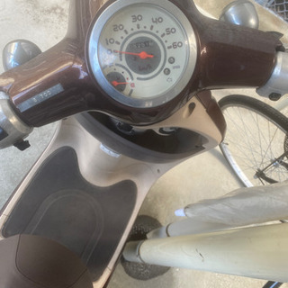 HONDA  ジョルノ(アズキブラウンメタリック)50cc [原付]