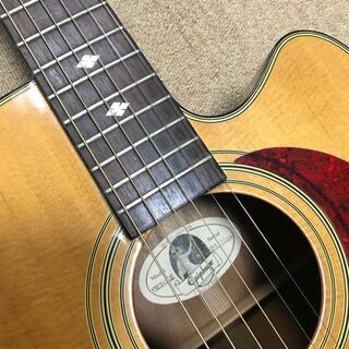 エピフォン エレアコ PR350 CE