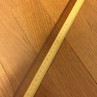 30cm定規2
