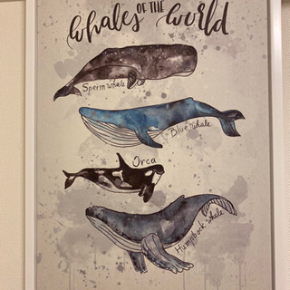 アートポスタークジラ