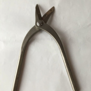 東北エスパル　伊達柳