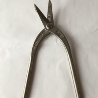 東北エスパル　伊達柳