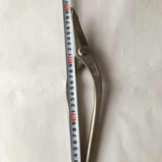 東北エスパル　伊達柳