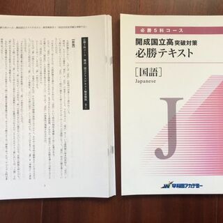 【中学生向け】早稲田アカデミー　必勝5科国語テキスト