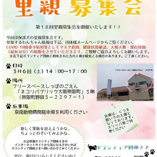 保護犬の里親募集会in大阪熊取町