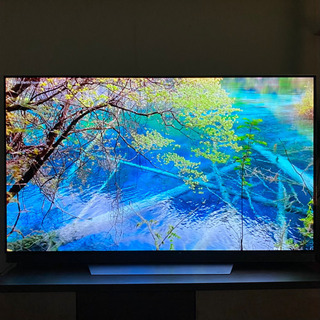 LG OLED65E7P 有機ELテレビ 65インチ