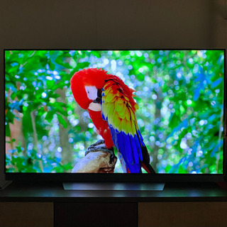 LG OLED65E7P 有機ELテレビ 65インチ
