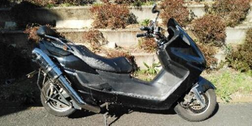 マジェスティ250　実動(1319)