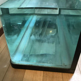 水槽と水槽台　※引き取り限定　値段、若干の交渉可