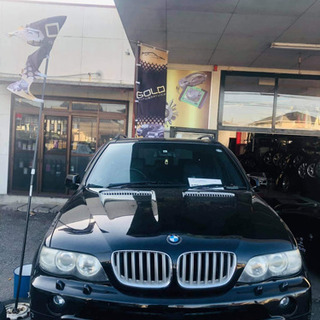 BMW X5 sports