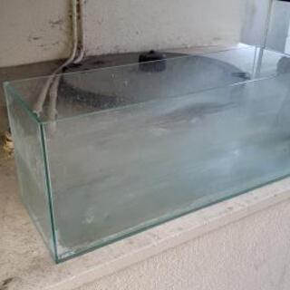 ガラス水槽縁なし600×200×250