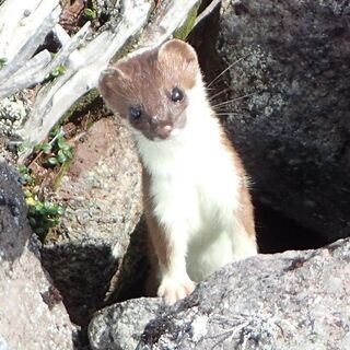 山登りを楽しむ仲間を場集しています－北見勤労者山岳会（北見労山）