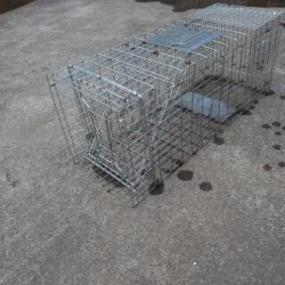 動物捕獲器レンタル　無人取引可