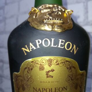 古酒 ヘネシーナポレオン 700ml 旧ボトル 未開栓