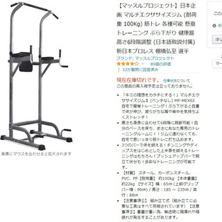 チンニング(懸垂)スタンド+ダンベル(最大20kg×2個セット)+エキスパンダー