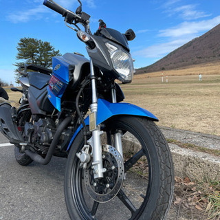 フェザー125 ※3/19まで フェザー125 ※3/19まで 【公式通販】
