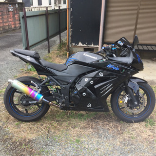 NINJA250  実働  ジャンク扱いの為格安で