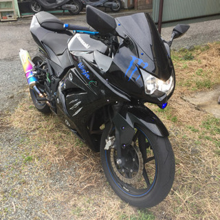 NINJA250  実働  ジャンク扱いの為格安で NINJA250 実働 ジャンク扱いの為格安で