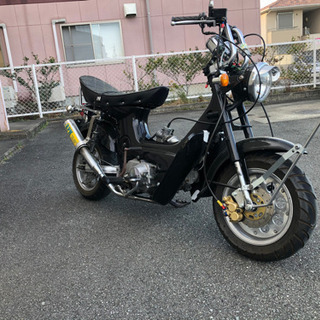 ホンダ シャリー カスタム ダックス スーパーカブ 4mini