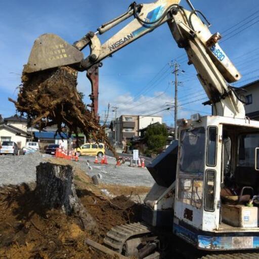 木の根 抜根 ﾊﾞｯｺﾝ 樹木伐採 樹木の幹の無料 条件付き 回収 持ち込み歓迎 台風で倒れた木 1本から 庭木 山林 伐採致します レンタルハンディマン 各務原の便利屋の無料広告 無料掲載の掲示板 ジモティー