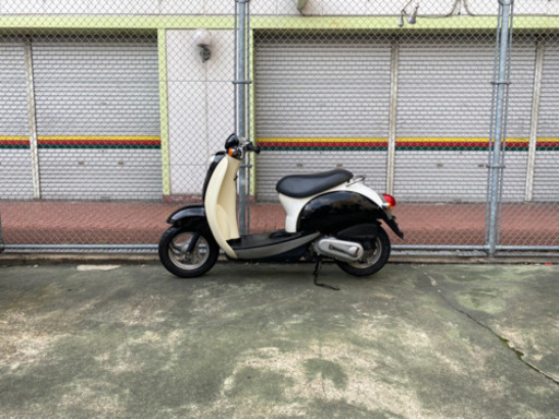 人気スクーピー