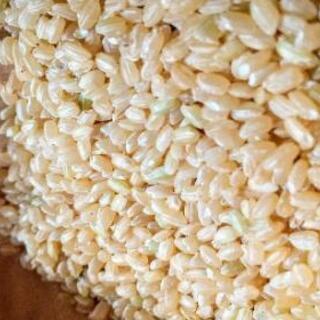 【お引渡し予定が決定しました】  無農薬玄米3Kg／古米／くず米