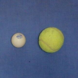 ピンポン玉　テニスボール