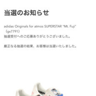 【ネット決済・配送可】adidas superstar mt.fuji