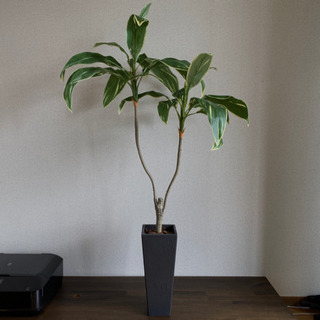 観葉植物 フェイクグリーン 大型（高さ120〜130cm）