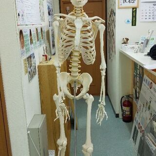 【骨密度測定と体験施術のセットキャンペーン】 − 神奈川県