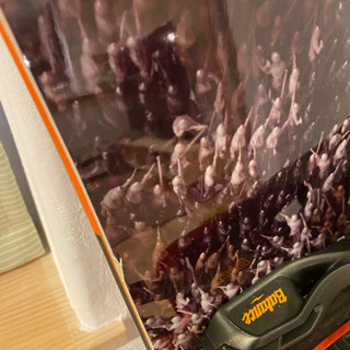 サロモンスノーボード