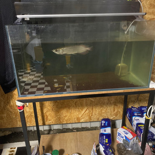 岩手県の中古水槽が無料 格安で買える ジモティー