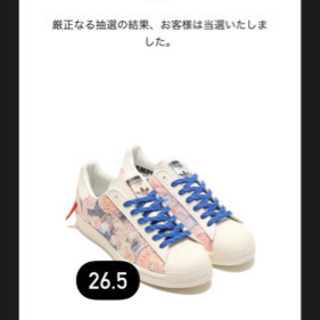 【ネット決済・配送可】adidas 富士山スニーカー