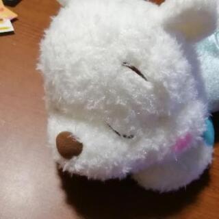 中古白いプーさんが無料 格安で買える ジモティー 中古白いプーさんが無料 格安で買える ジモティー
