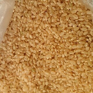 旧額田町産ミネアサヒ【令和２年度】　玄米３０キロ