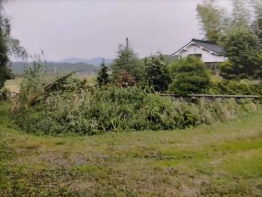 田舎の家 土地 田 畑 山 など 無償譲渡します りんご 岩国の中古 マンション 一戸建て の不動産 住宅情報 無料掲載の掲示板 ジモティー