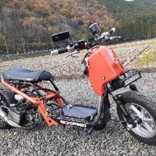 ズーマー　カスタム